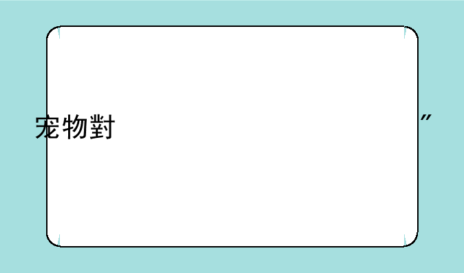 宠物小精灵bw游戏