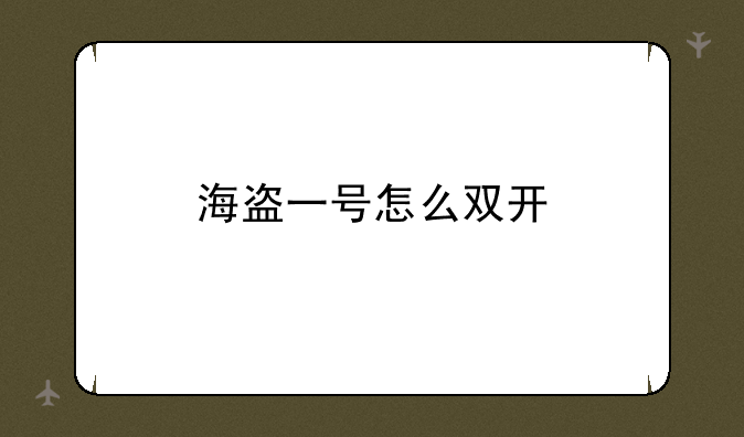 海盗一号怎么双开
