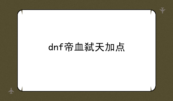 dnf帝血弑天加点