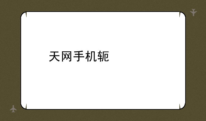 天网手机软件站