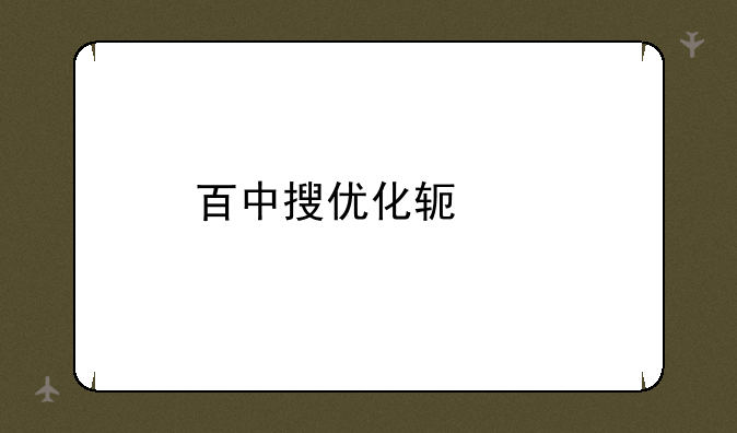 百中搜优化软件