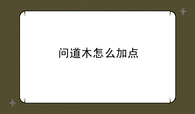 问道木怎么加点