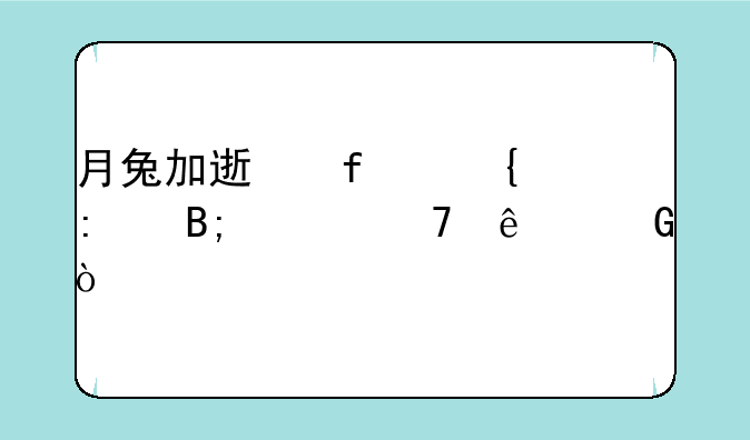 月兔加速器连接后上不了网？