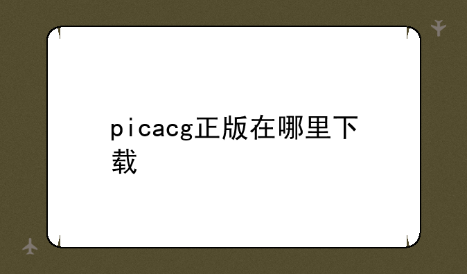 picacg正版在哪里下载
