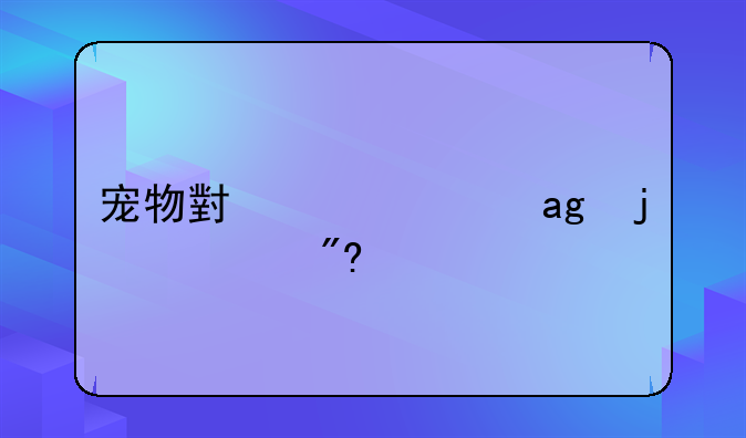 宠物小精灵XY的游戏特点