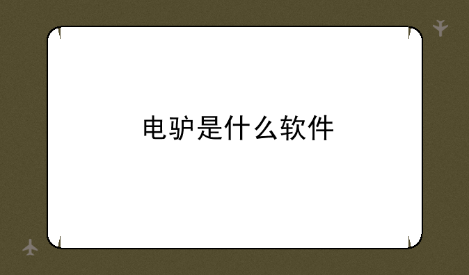 电驴是什么软件