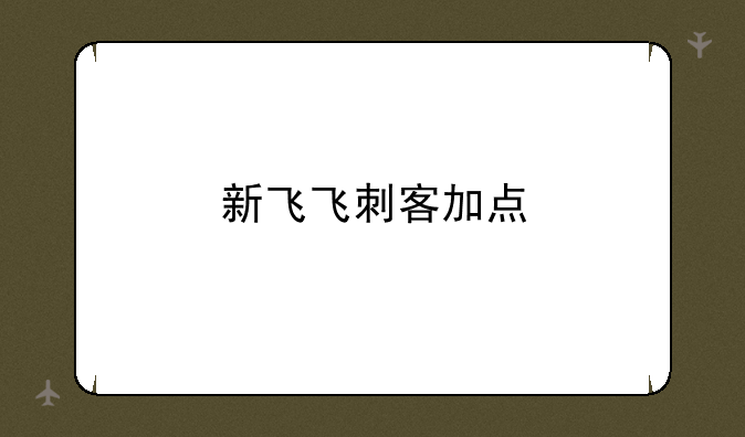 新飞飞刺客加点