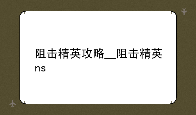 阻击精英攻略__阻击精英ns
